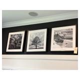 3PC FRAMED PRINTS