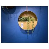 5PC DÉCOR ITEMS