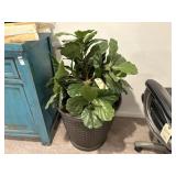 FLOOR PLANT