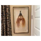 FRAMED TAXIDERMY