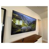 67" SONY TV