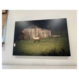 CANVAS ART