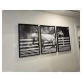 3PC FRAMED ART