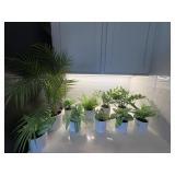 11PC FAUX PLANTS