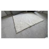 AREA RUG