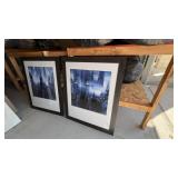 2PC FRAMED PRINTS