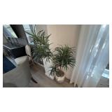 FAUX FLOOR PLANT