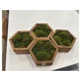 4PC WALL PLANTERS