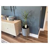 FAUX HOUSE PLANT