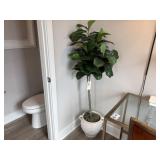 FAUX FICUS