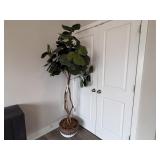 FLOOR PLANT