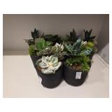 9PC GREENERY DECOR