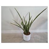 FAUX FLOOR PLANT