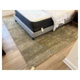 AREA RUG