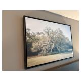 FRAMED CANVAS
