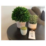 GREENERY- 3PC