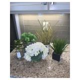 ASST DECO POTTED PLANTS 5PC