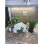 ASST DECO POTTED PLANTS 5PC