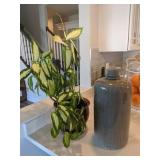 2pc-real plant & gray ceramic vase