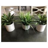 2 PC SUCCULENTS & 1 POTTED GRASS