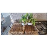 6PC-BASKET SET & SUCCULENTS