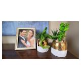 3PC-GOLD FRAME & SUCCULENT SET