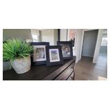 4PC-FRAME TRIO W/FAUX WHEAT GRASS