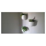 3PC-HANGING WALL SUCCULENTS