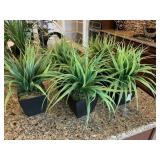 5PC GREENERY