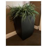 FLOOR PLANT  25"H