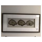 FRAMED AGATES