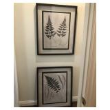 FERN PRINTS