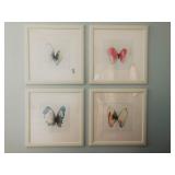 4 PC BUTTERFLY PRINTS
