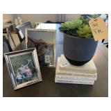SILVER FRAME SET, FAUX SUCCULENT, & BOOK LOT