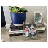 FRAME SET, FAUX SUCCULENT, & BOOK LOT