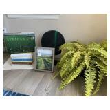 BLACK DISC, FAUX FERN, FRAME, & BOOK LOT