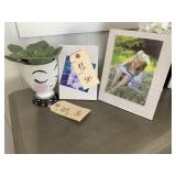 WOODEN FRAME SET W/ FAUX GREENERY