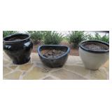 PLANTERS