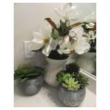 PLANTS