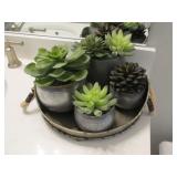 TRAY OF GREENERY