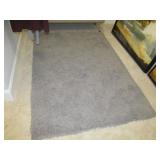 SHAG RUG