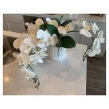 ORCHID PLANT