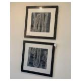 PRINTS