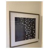 PRINTS