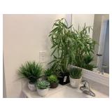 5PC ASST DECO POTTED PLANTS