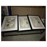 FRAMED PRINTS
