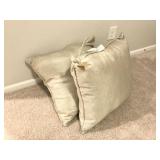 2PC GOLD PILLOWS