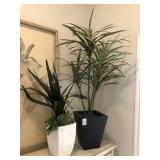 2PC FLOOR PLANTS