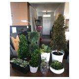 8PC GREENERY