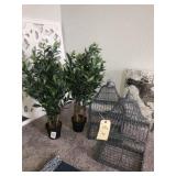 OLIVE TREES & BIRD CAGE
